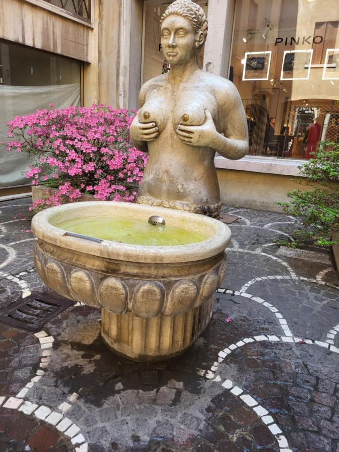 19 Borgo Cavour Bed & Breakfast Treviso Luaran gambar