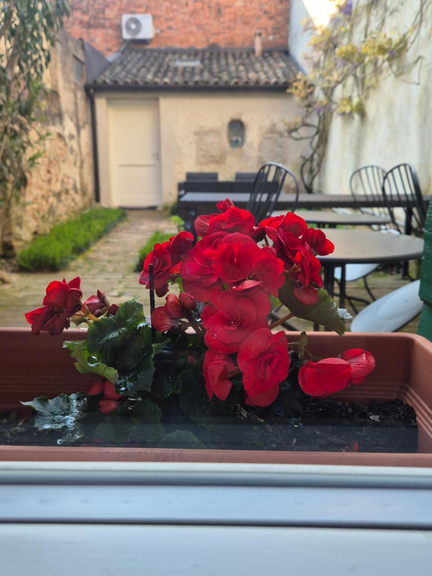 19 Borgo Cavour Bed & Breakfast Treviso Luaran gambar